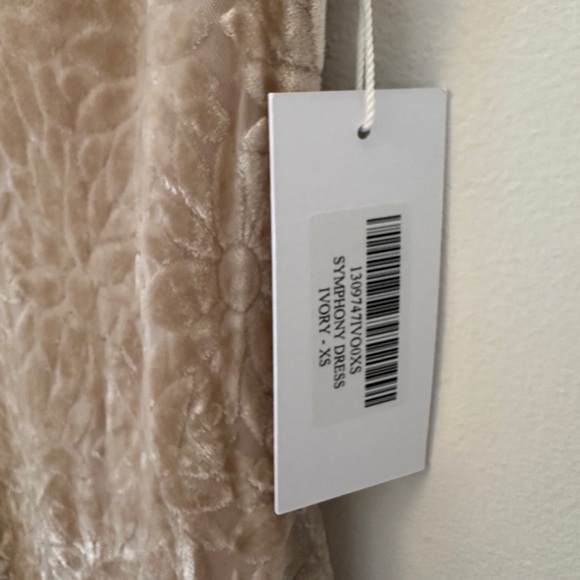 NWT Reformation Symphony Velvet Dress in Champagne Floral Velvet | Size XS - Picture 7 of 16